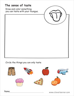 The sense of taste preschool worksheet