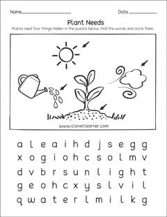 What plants need kindergarten worksheet